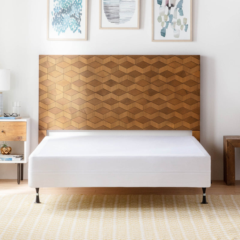 Box Spring Encasement Protector