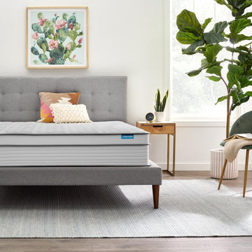 Dreamer Hybrid Mattress